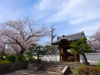 大徳寺(滋賀県)