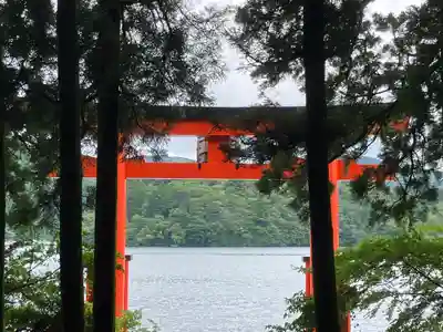 箱根神社(神奈川県)