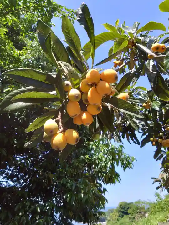 河内阿蘇神社(熊本県)