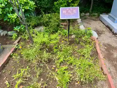 埼玉縣護國神社(埼玉県)