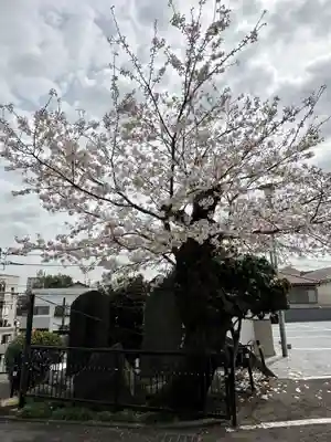 海向山岩松寺金蔵院(神奈川県)