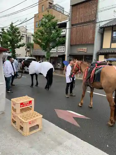 下御霊神社の動物