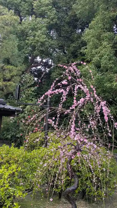 城南宮(京都府)