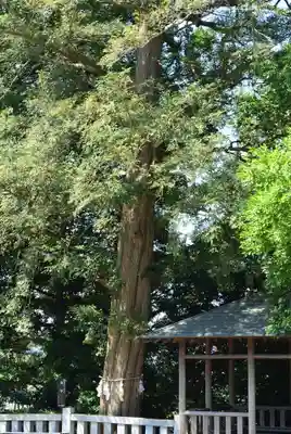 神鳥前川神社(神奈川県)