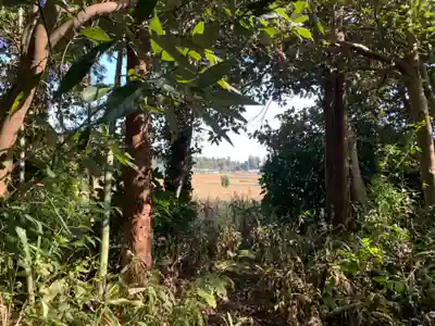 麻賀多神社(千葉県)