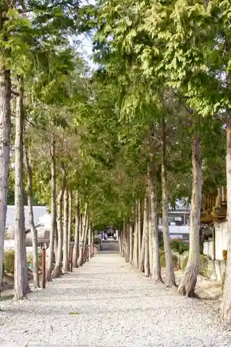 山崎神社の自然