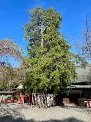 富士山本宮浅間大社のその他建物