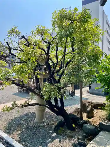 円明寺(静岡県)