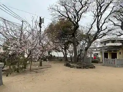 舞子六神社/まいこむの宮(兵庫県)