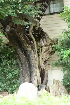 延命院(東京都)