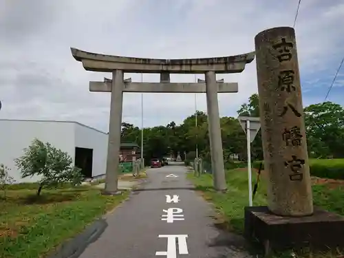 八幡宮（吉原八幡宮）の鳥居