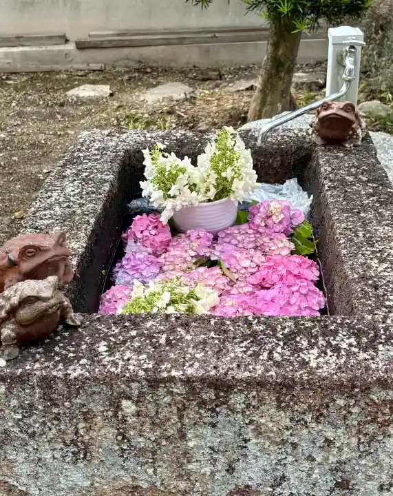 尾張高野山宗 総本山 岩屋寺(愛知県)