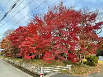 本誓寺(東本誓寺)(滋賀県)