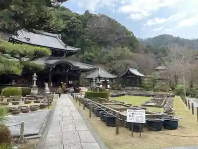 三室戸寺(京都府)