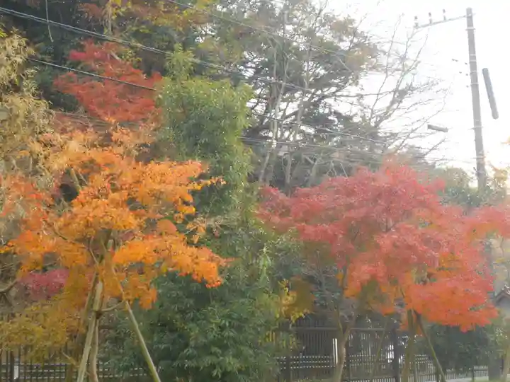 永福寺跡(永福寺址)の自然