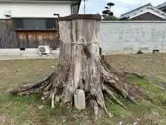 金橋神社(奈良県)