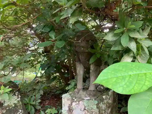 金氣神社の狛犬