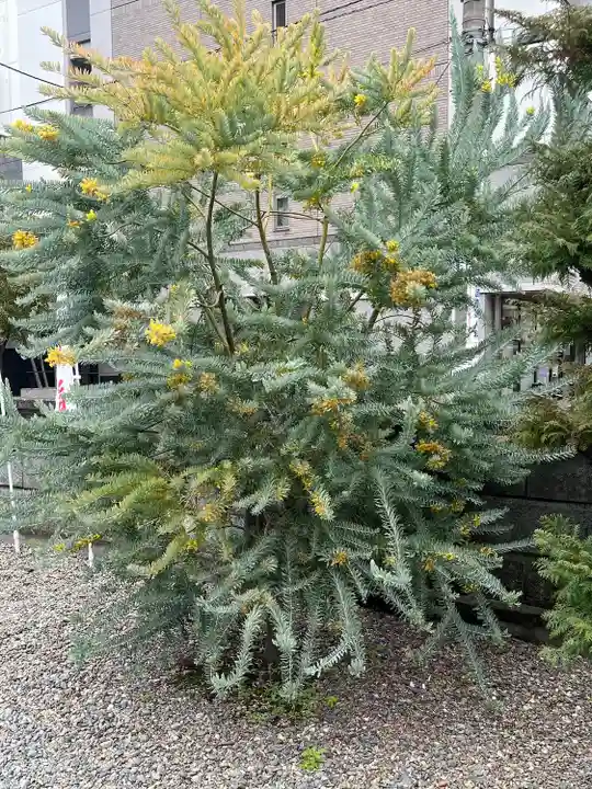 羽衣町厳島神社(関内厳島神社・横浜弁天)(神奈川県)