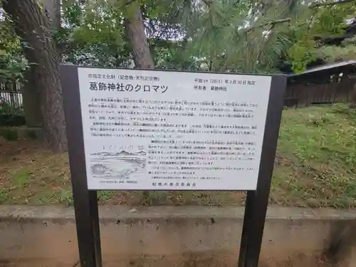 葛飾神社(千葉県)