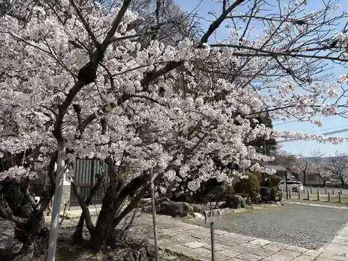 安岡寺(大阪府)