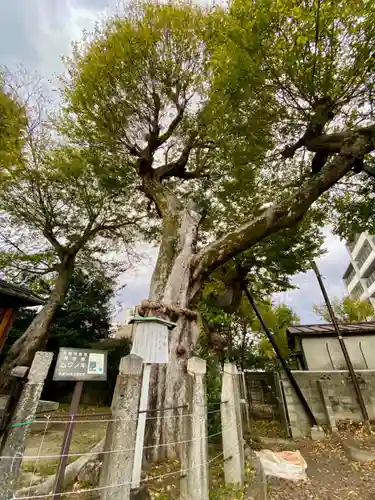 宇賀神社(京都府)