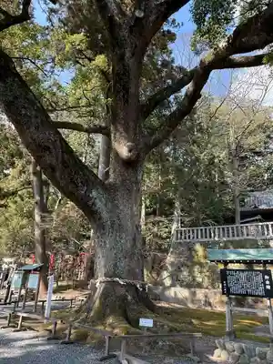 事任八幡宮(静岡県)