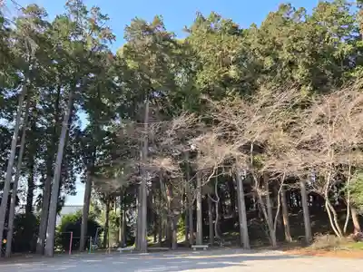 見目神社(静岡県)