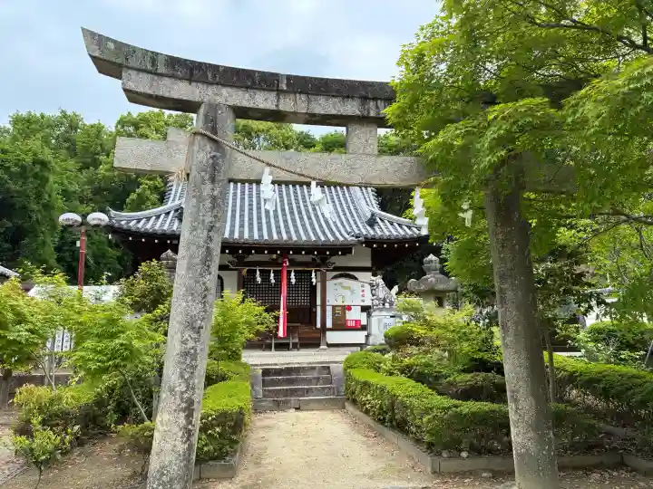壺井八幡宮の{uncategorized: "未分類", other: "その他", undefined: "問題あり", building: "その他建物", grave: "お墓", sacred_gate: "鳥居", guardian: "狛犬", statue: "像", buddha: "仏像", history: "歴史", nature: "自然", garden: "庭園", animal: "動物", pagoda: "塔", temizu: "手水舎", mountain_gate: "山門・神門", sanctuary: "本殿・本堂", subordinate: "末社・摂社", art: "芸術", scenery: "景色", jizo: "地蔵", ema: "絵馬", goshuin: "御朱印", omikuji: "おみくじ", items: "授与品その他", amulet: "お守り", goshuincho: "御朱印帳", eats: "食事", festival: "お祭り", votive_dance: "神楽", shichigosan: "七五三参", wedding: "結婚式", experience: "体験その他", initially: "初詣", around: "周辺", anti_infection: "感染症対策"}