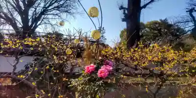 上野東照宮(東京都)