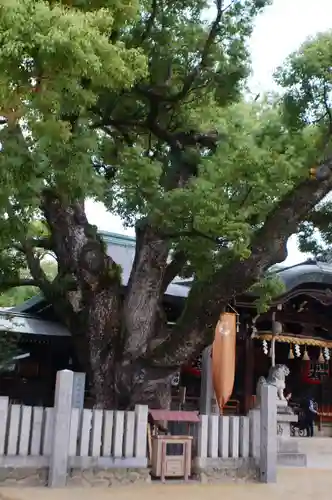 石切劔箭神社(大阪府)