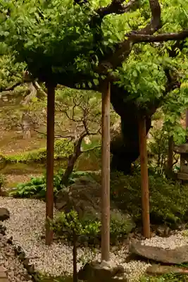 大善寺(山梨県)