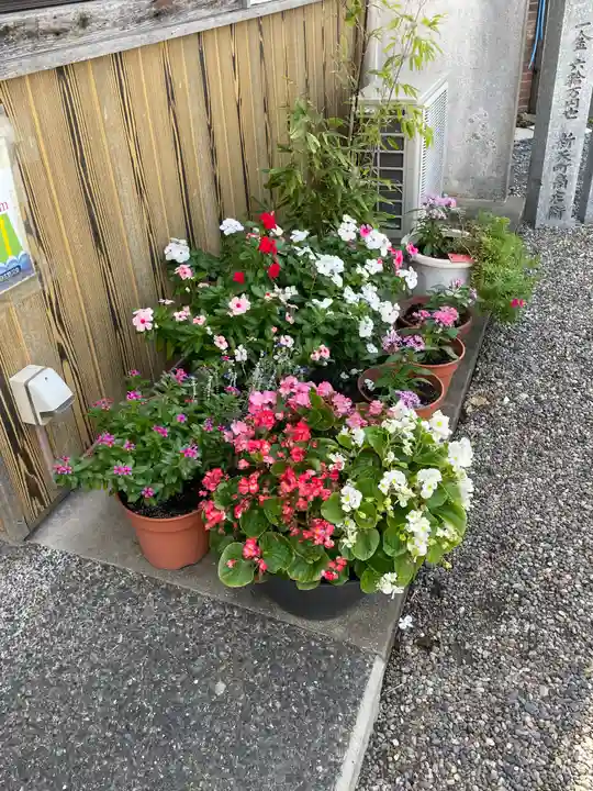 中津瀬神社の自然