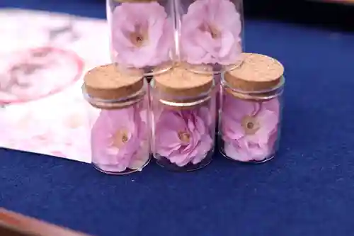 大雄院の授与品その他