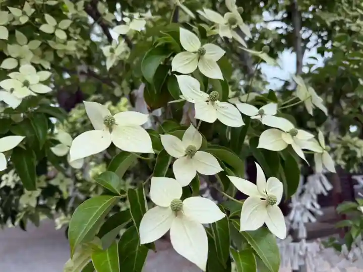 美奈宜神社(福岡県)