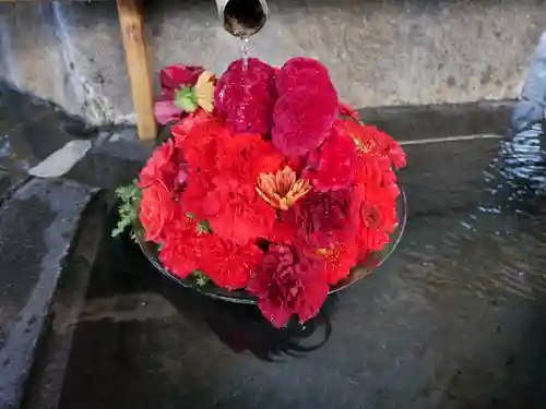 尊永寺の手水舎