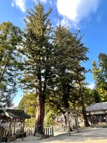 蓮徳寺の建物その他