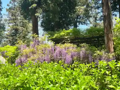 歌泉堂（春日大社神苑萬葉植物園内鎮座）(奈良県)