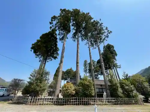 山國神社の自然