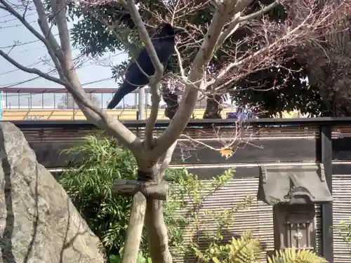 白旗神社(神奈川県)