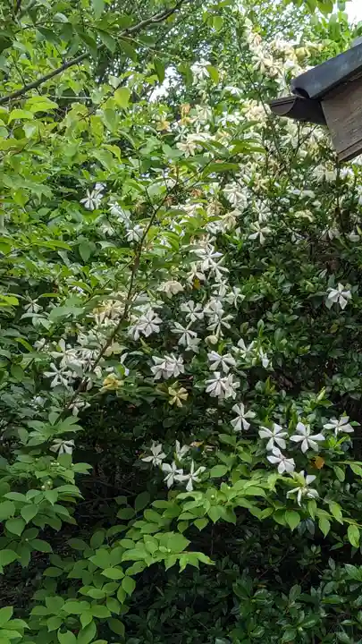 海印寺寂照院(京都府)
