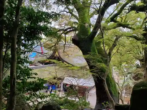 太宰府天満宮の景色