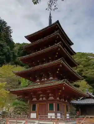 長谷寺(奈良県)