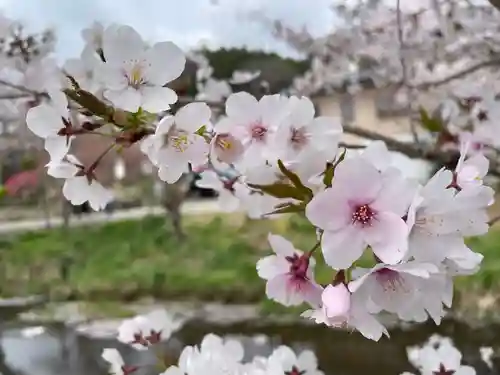 東円寺(山梨県)