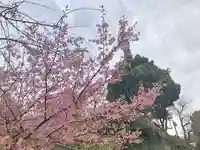 増上寺塔頭 三縁山 宝珠院の景色