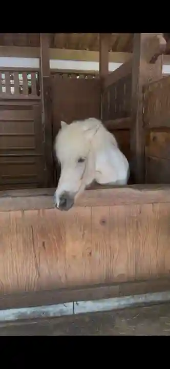 金刀比羅宮(香川県)