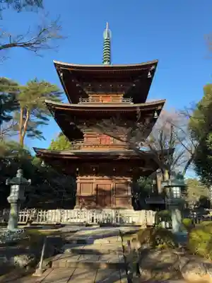 豪徳寺(東京都)