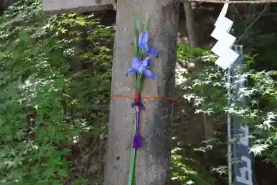 滑川神社 - 仕事と子どもの守り神の授与品その他
