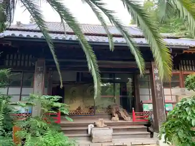 石手寺の本殿・本堂
