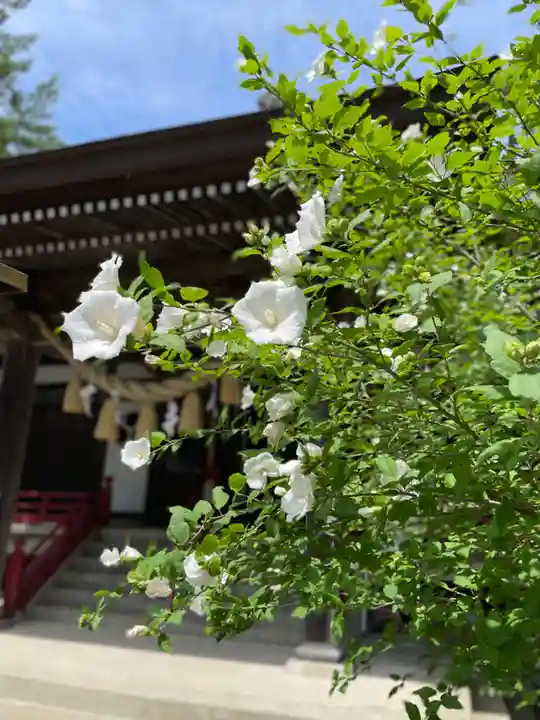 軽米八幡宮(岩手県)