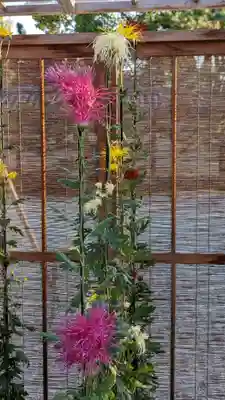 大覚寺(京都府)